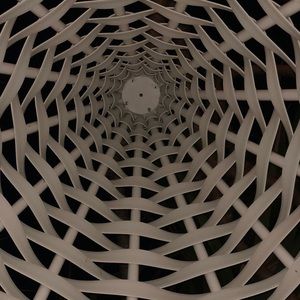 Meet your Posher, Lane